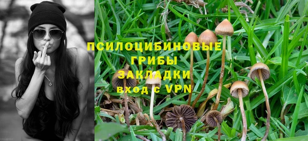 Альфа ПВП Беломорск
