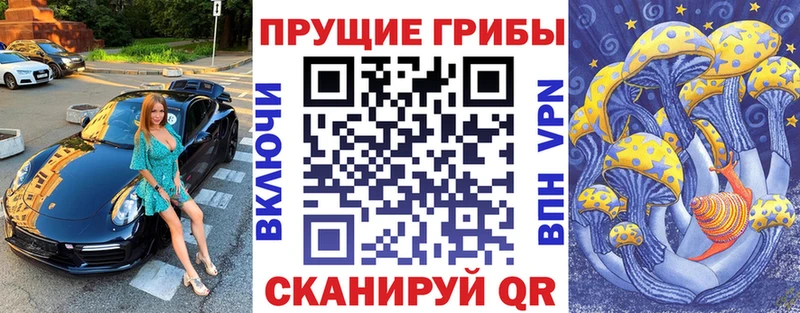 Галлюциногенные грибы прущие грибы магазин наркотиков Покровск
